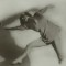 Centre Pompidou > Danser sa vie | 23/11-2/04 2012 Danse