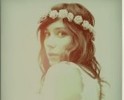 ladylike lily, antipode, rennes, court-cricuit