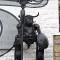 vache boulevard Villebois-Mareuil