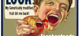 OGM, Gilles Éric Seralini, biologie, CRIIGEN, Corinne Lepage, Jean-Marie Pelt, Roundup, rats, Gérard Pascal, pro anima, NK603