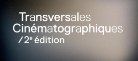 transversales cinématographiques, Melvil Poupaud, Les adieux à la reine., Jacques Aumont, Benoit Jacquot,Jean Cléder, Université Rennes 2, cinéma, transversalité, christophe honoré,