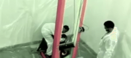 tortart,art,art contemporain,berlin,Guillermo Vargas,guillotine,Natalia Edenmont,Rouven Materne, tortart, Wim Delvoye, mouton,