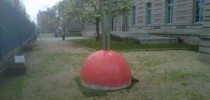 radis, zola, education, lycée émile zola, rennes,art contemporain, solidarité, racines, partages