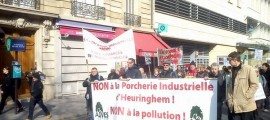 manifestation