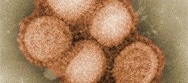 h7N9