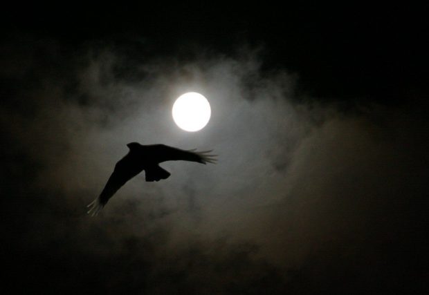 Les personnages de l