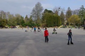 roller, maurepas, parc, thabor, sapins parasoles, piste cyclable