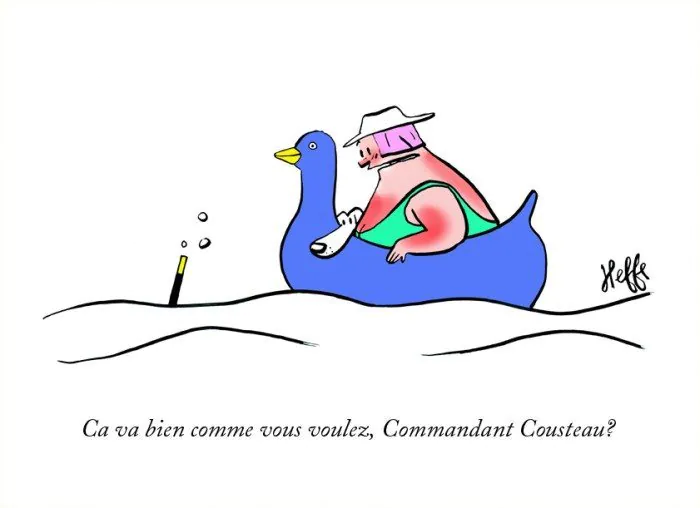 Commandant Cousteau, heffe