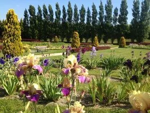 iris-istibles, iris'istibles, jardin, jardins, brocéliande, fleurs