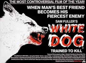 white dog fuller