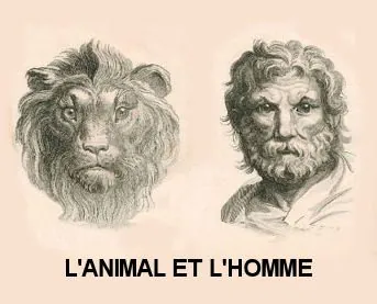 homme animal champs libres