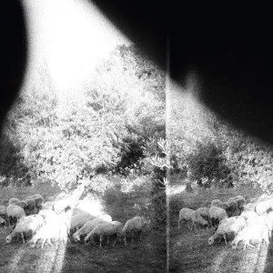 asunder-sweet-and-other-distress-godspeed-you-black-emperor