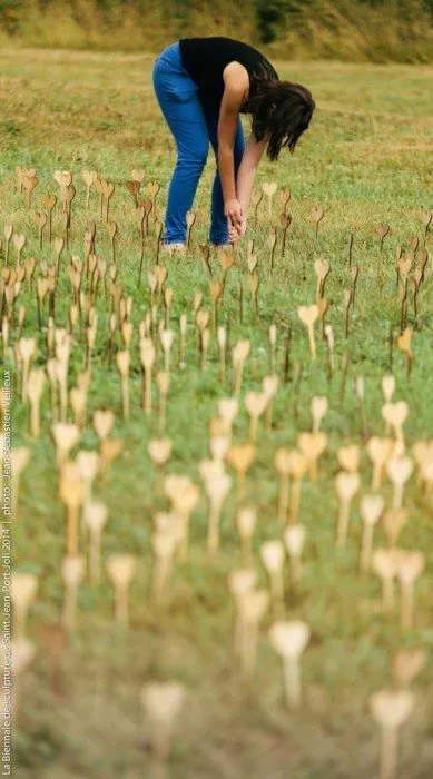 Biennale de Sculpture 2014 - Plantation - artiste Nathalie Gagnon