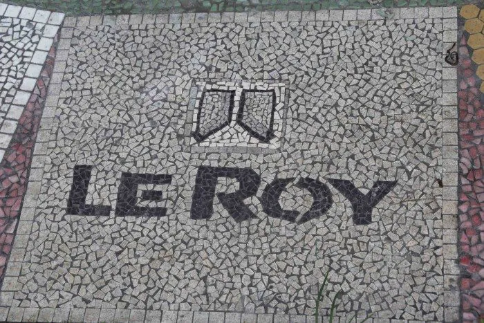 le roy