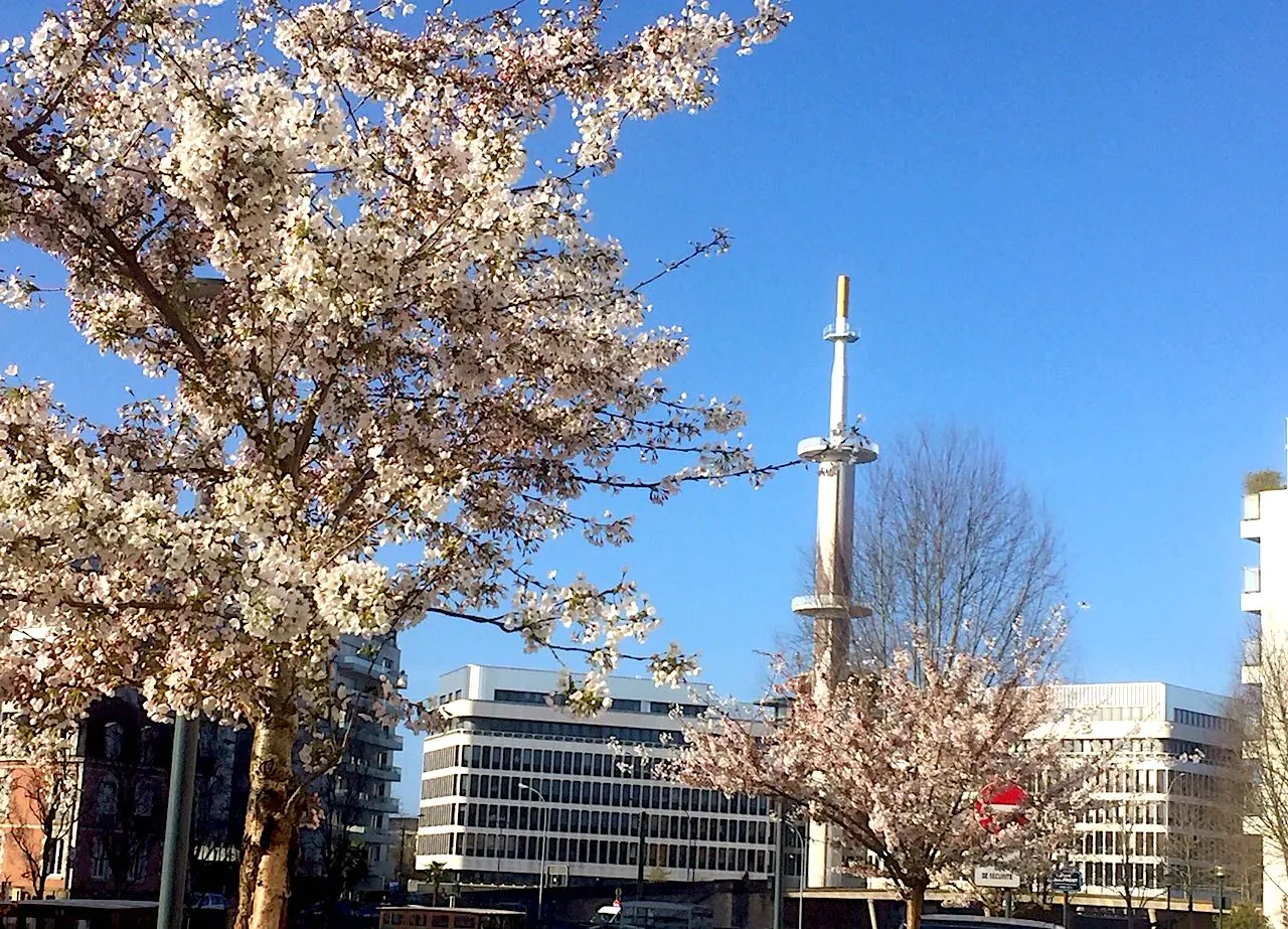 RACHEL FOURMENTIN, RENNES EST UN MAGIQUE BOUILLON DE CULTURE | Rennes ...