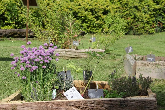 Sur Les Traces Des Guérisseurs Dantan Ensemble Hospitalier - 