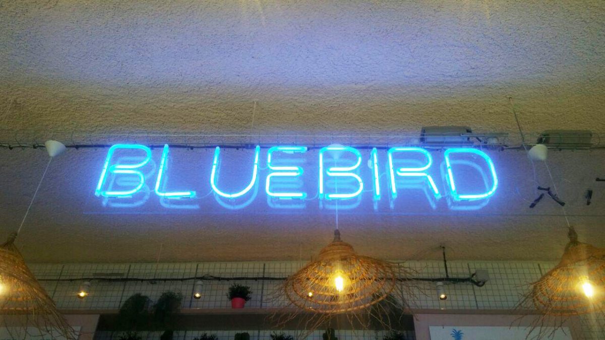 bluebird coffee rennes
