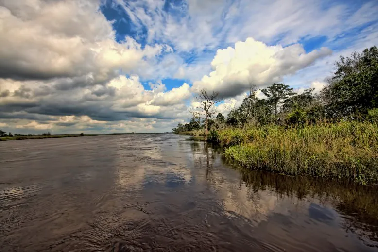 Altamaha