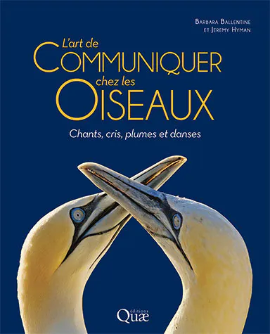 Art de communiquer chez les oiseaux