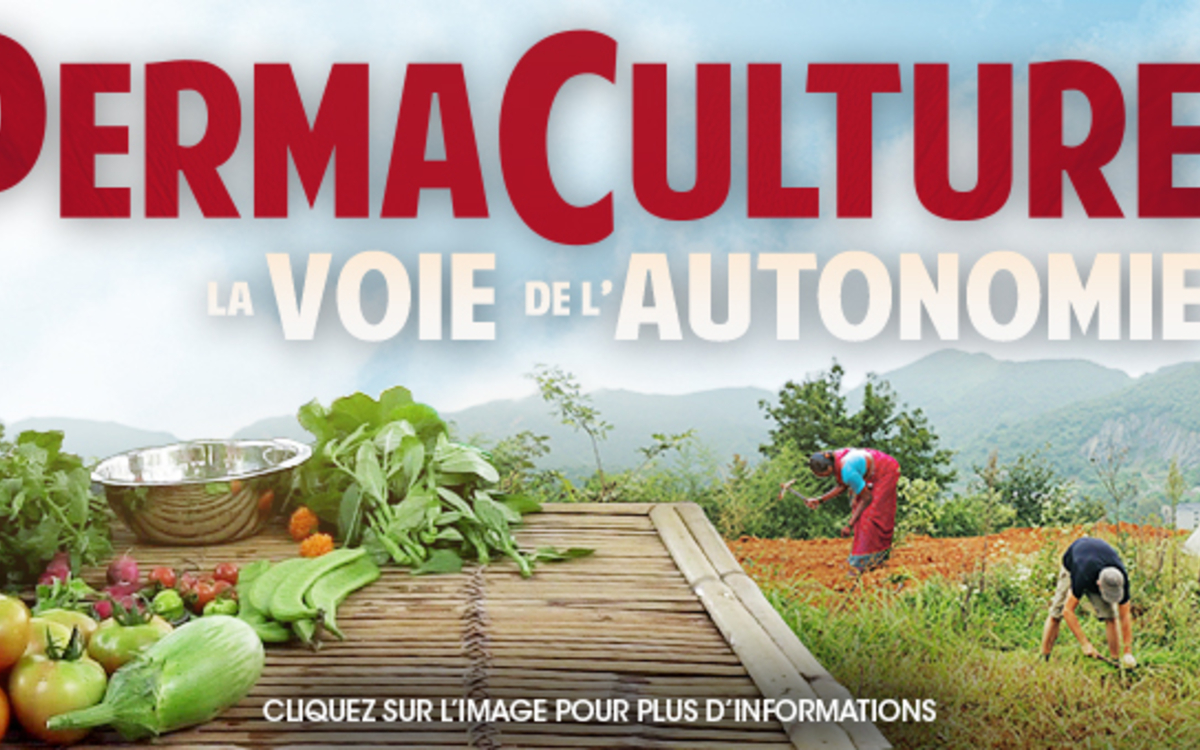 culture et rencontre saussure