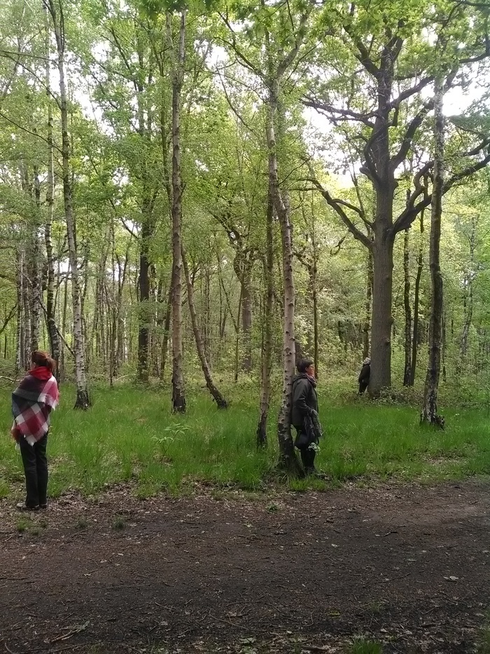 Marche Contemplative Et Meditation En Foret Devant Le Portail Du Bois Saint Martin A Proximite De La Gare Rer Les Yvris En Face Du 14 Noisy Le Grand Dimanche 4 Septembre 22