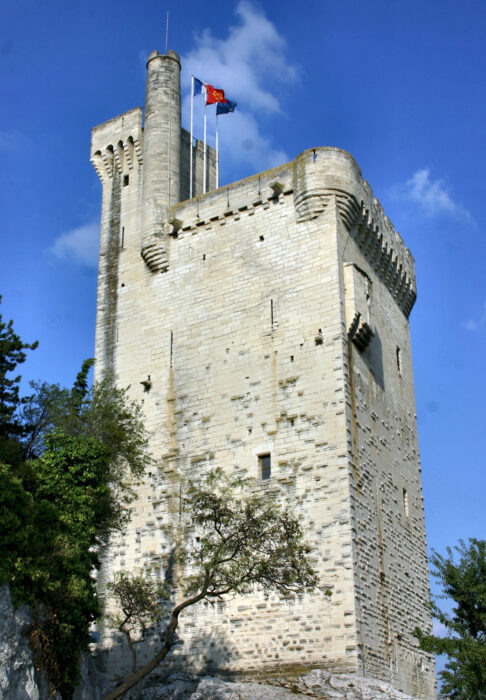 Visitez cette tour défensive qui reliait autrefois le pont d'Avignon au Royaume de France Tour Philippe le Bel Villeneuve-lès-Avignon