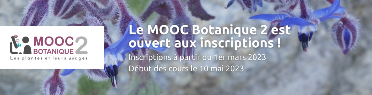 MOOC BOTANIQUE 2 Tela Botanica