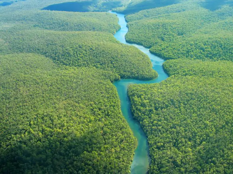 remontée fleuve lointain olivier esnault