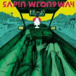 sapin-wrong-way
