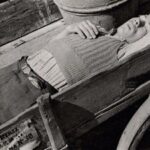 thumbs_22-vishniac_exhausted-acarrier-of-heavy-loads-b