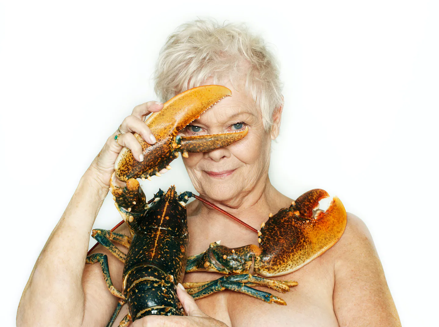 JUDI DENCH 050 with Lobster