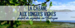 la-cabane-aux-longues-vigues_saint-jouan-des-guerets_edouard-cazals-2