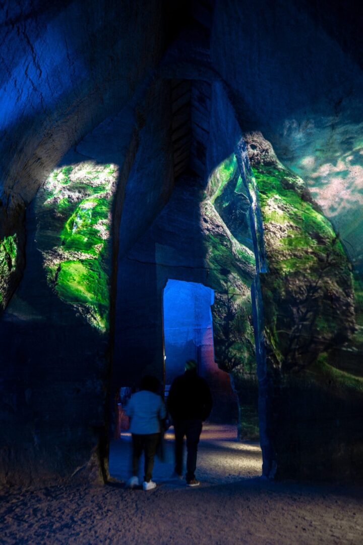 troglodytes du 49