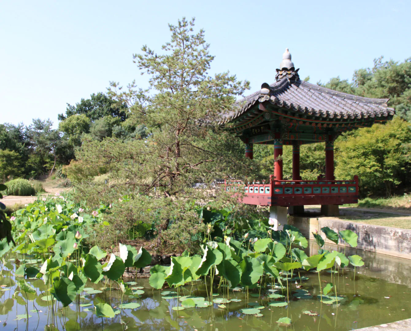 Colline de Suncheon Nantes 1