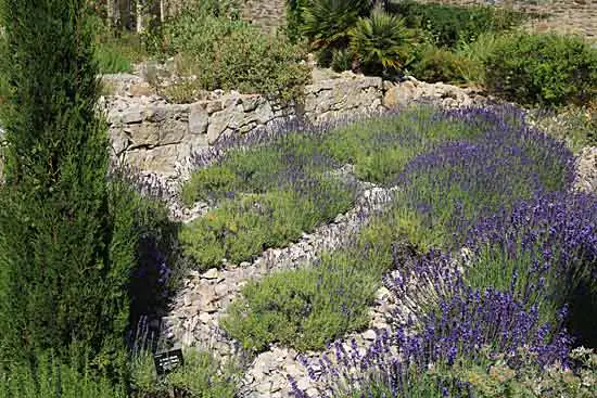 Jardins de la retraite et de la paix