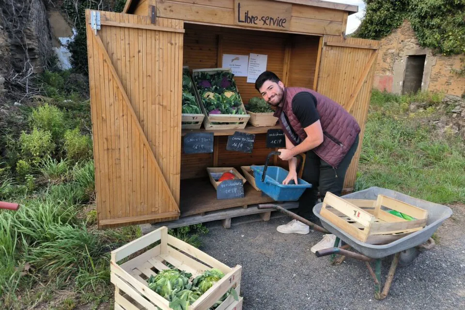 baraque libre service légumes 