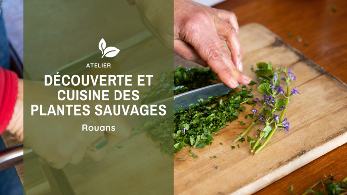 Découverte et cuisine des plantes sauvages (44) 44640 Rouans
