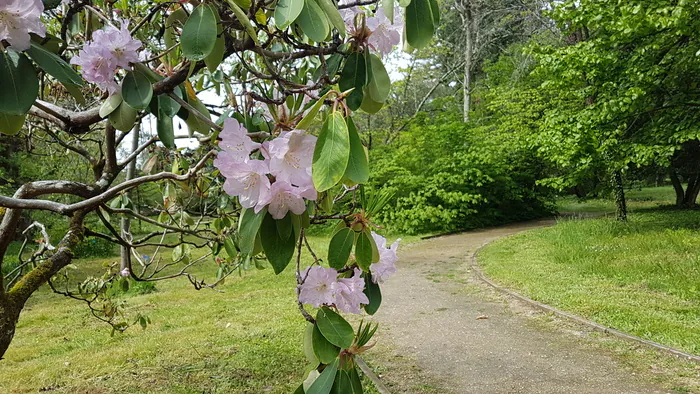 Le printemps de l'Arboretum Arboretum des Barres Nogent-sur-vernisson