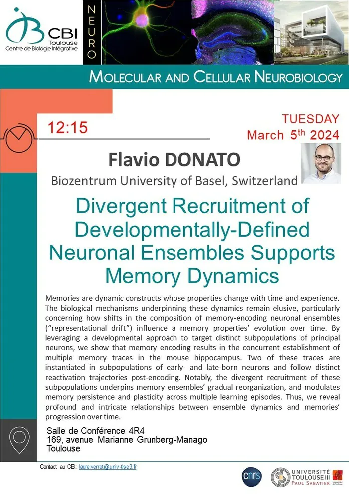 Flavio DONATO " Divergent Recruitment of Developmentally-Defined Neuronal Ensembles Supports Memory Dynamics" CBI Toulouse Salle de conférence 4R4 Toulouse