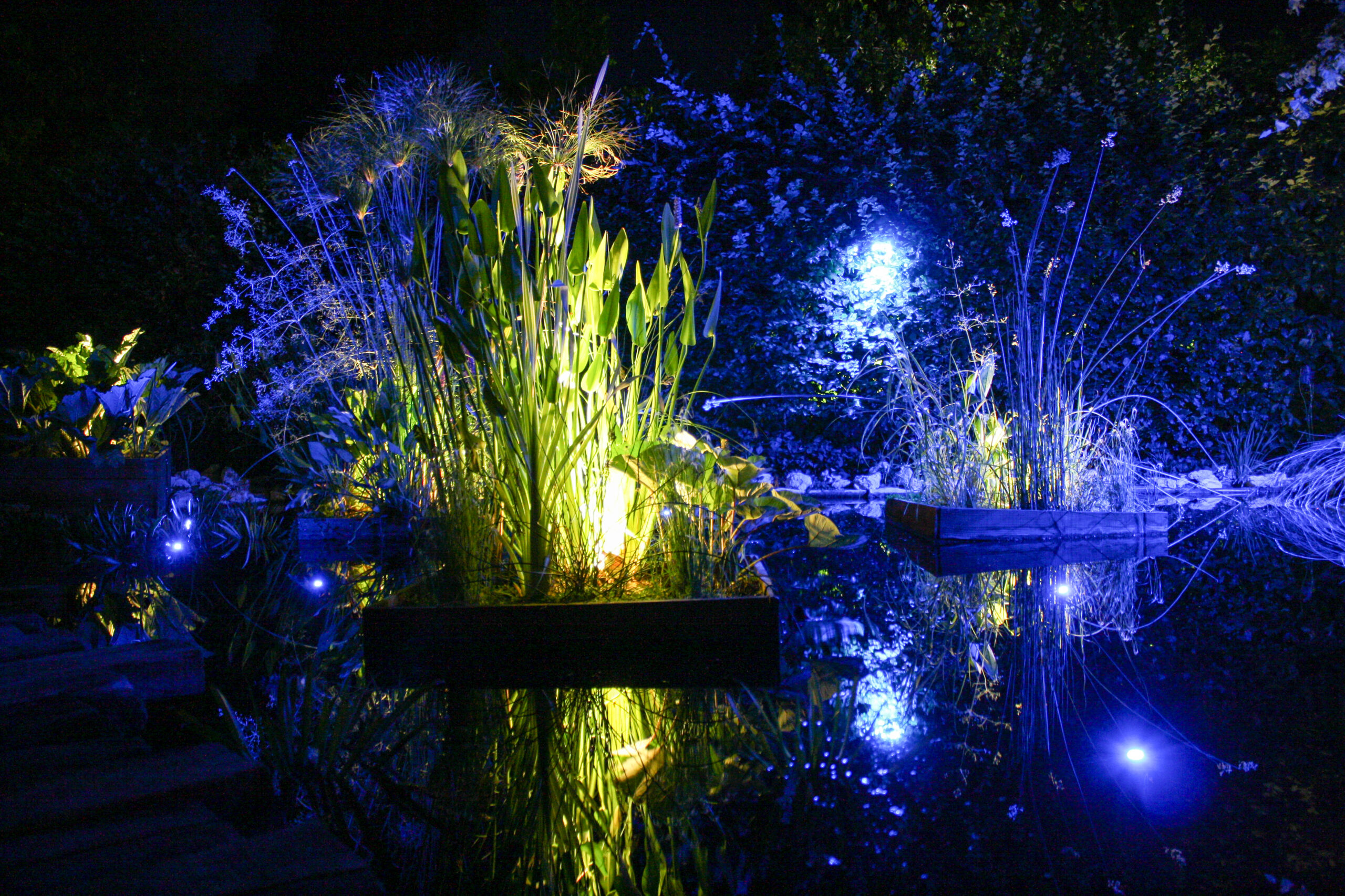 Nocturnes au jardin Domaine de Chaumont-sur-Loire