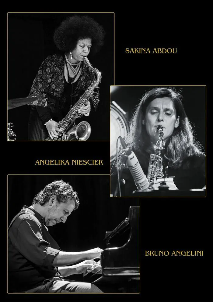 Bruno Angelini trio "Lotus flower" Le Comptoir Fontenay-sous-Bois