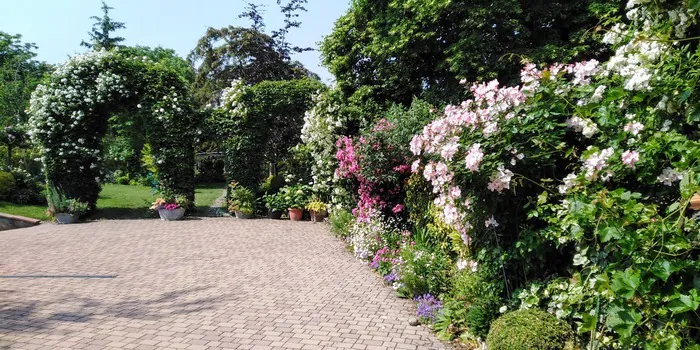 Visite libre de mon jardin Le jardin de Martine et René Ohnenheim