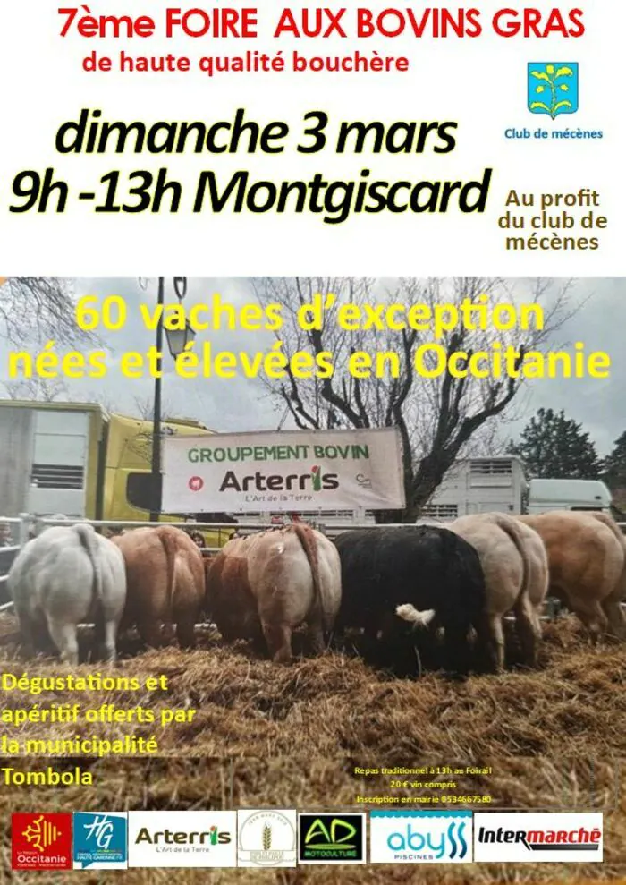7ème foire aux bovins gras place du Foirail à Montgiscard Montgiscard