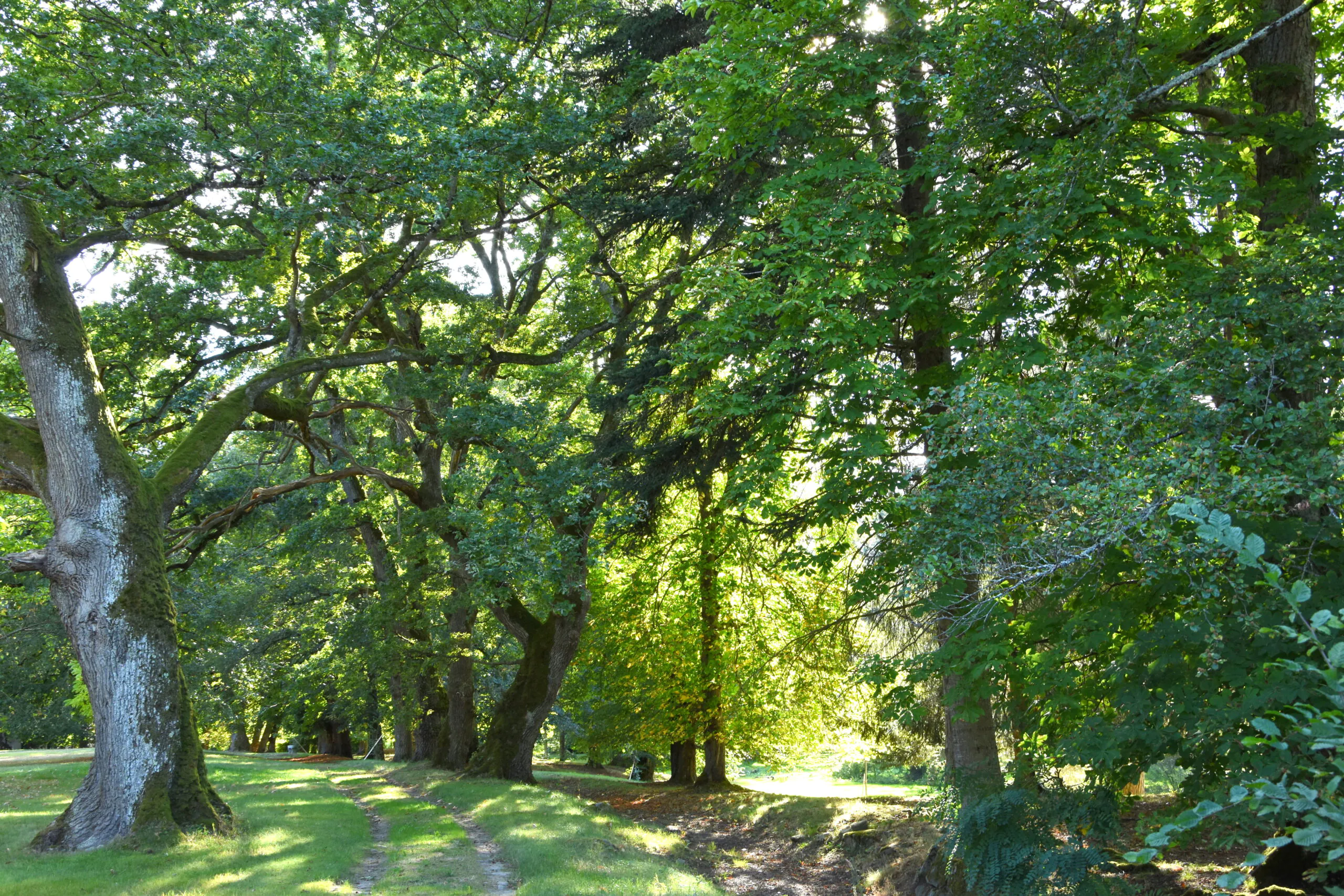 Rendez-vous au Jardin Parc du Château de la Chezotte