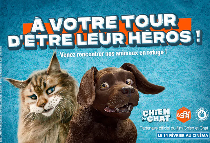 chat chien