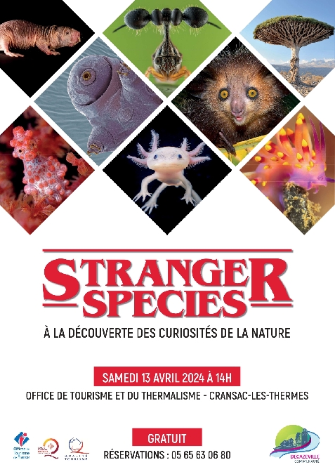 Conférence “Stranger species