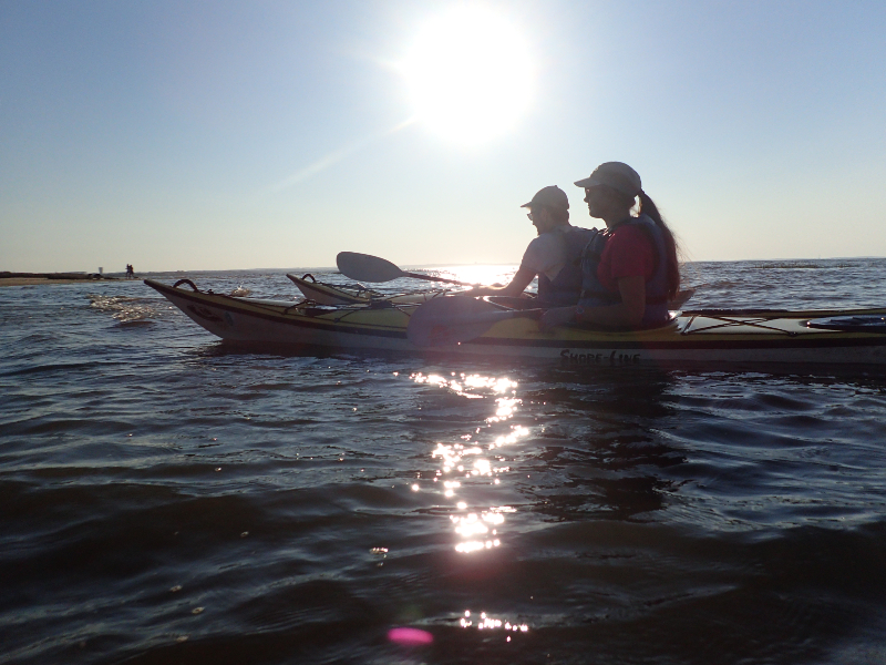 Sortie en kayak de mer Découverte du delta de l'Eyre