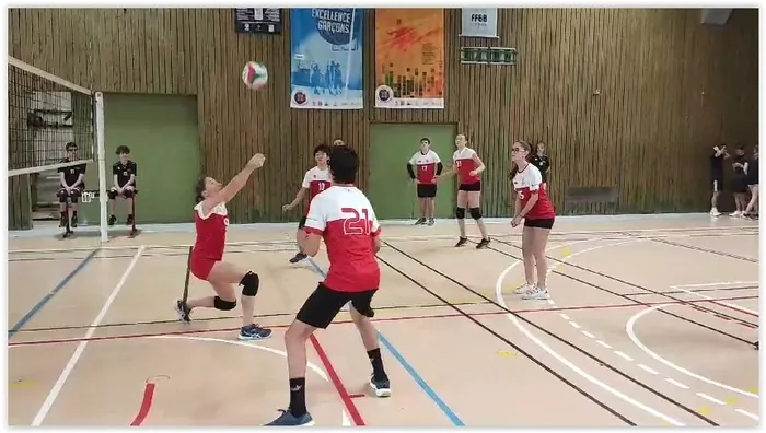 Volley-Ball Mairie de Colomiers Colomiers