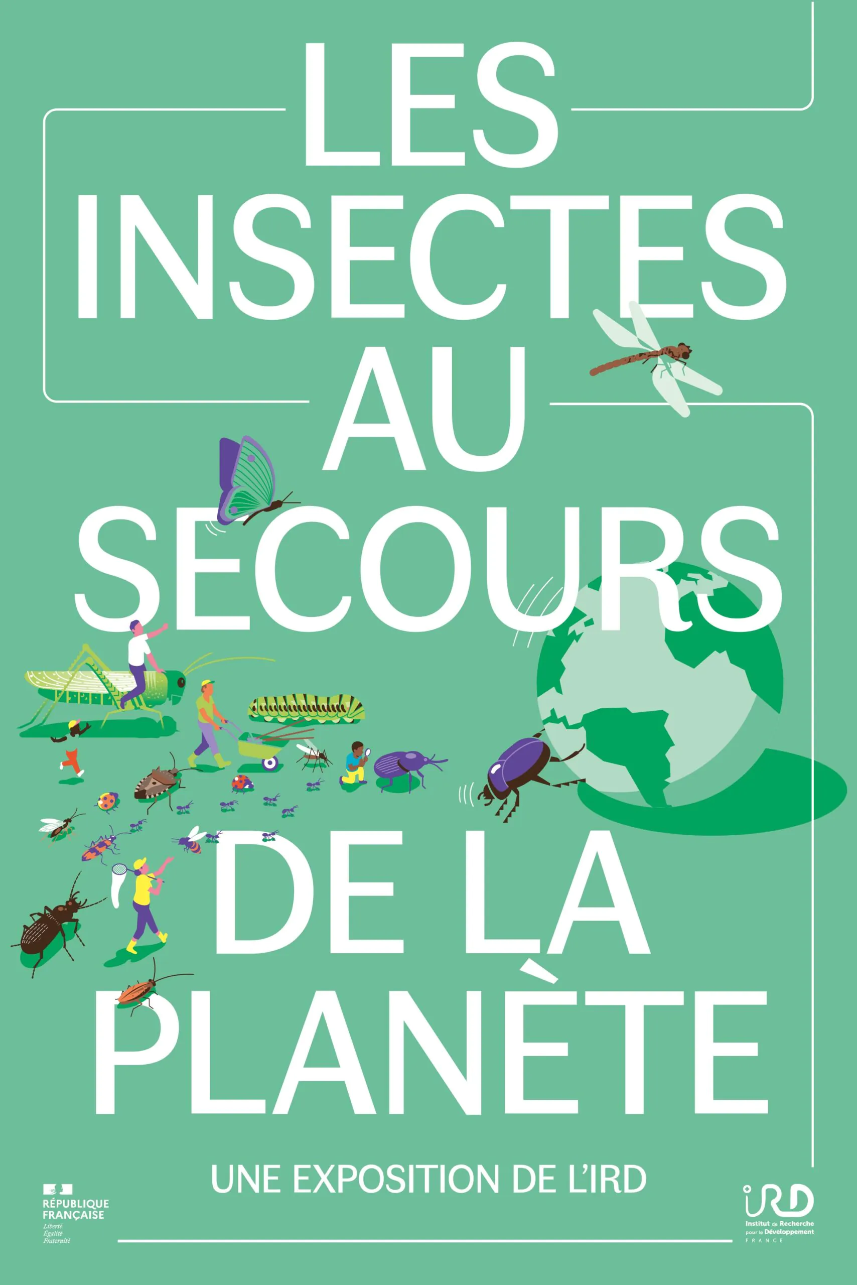 Exposition : Les Insectes au secours de la planète