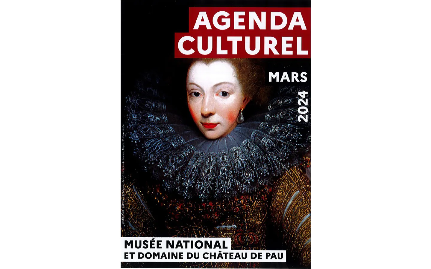 Château de Pau Agenda culturel Mars